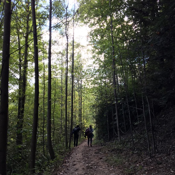 Meet your Posher, Annabelle - Picture 1 of 1